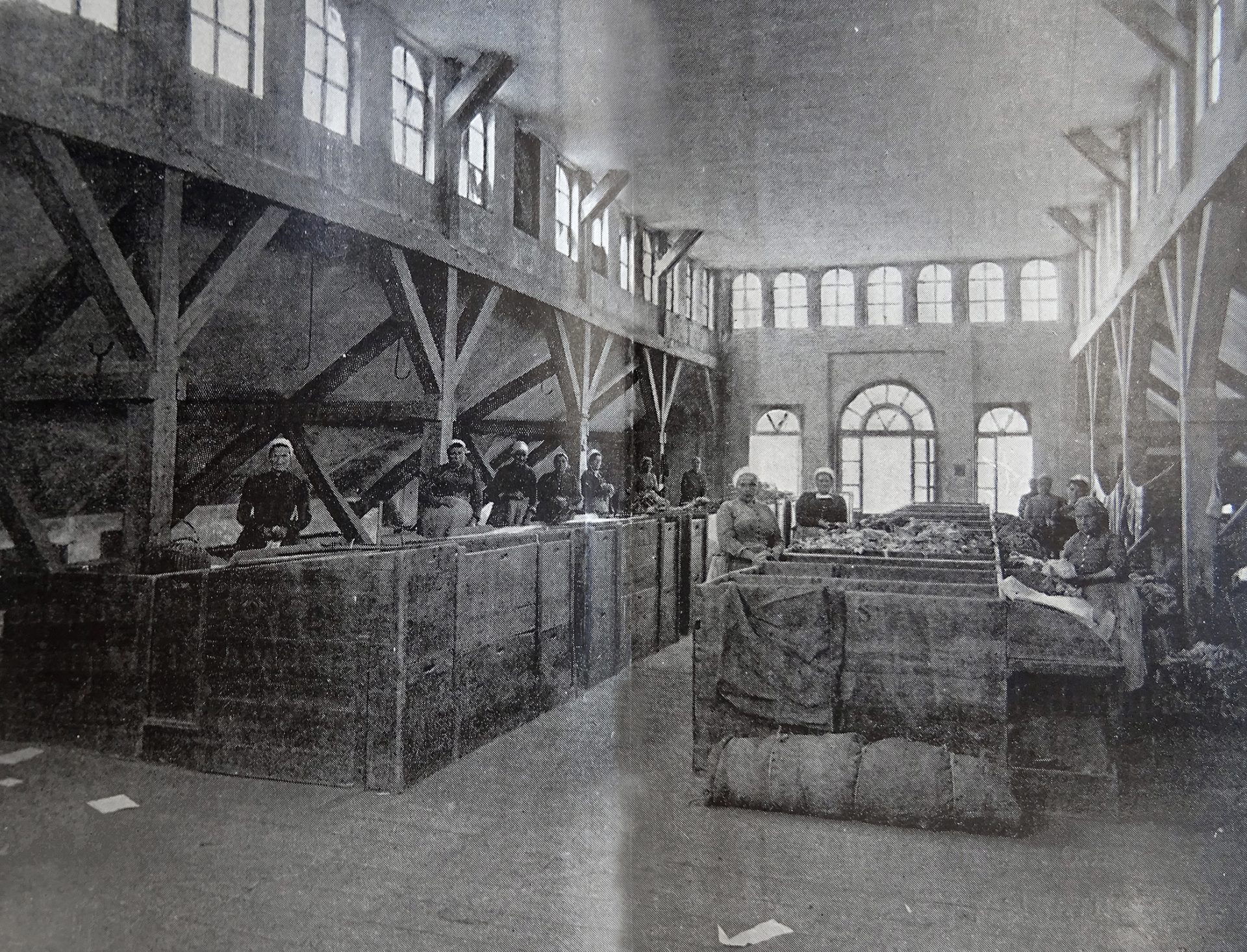 Atelier de délissage des chiffons, 1897